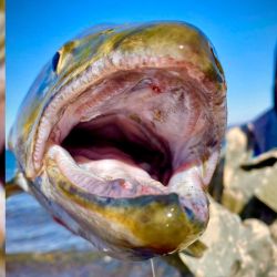 En este lago se pesca todo el año, con devolución obligatoria desde el 2/5.