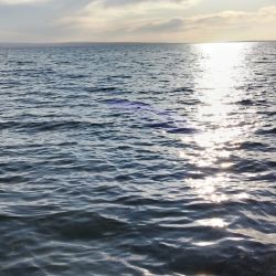 En este lago se pesca todo el año, con devolución obligatoria desde el 2/5.