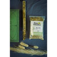 Los Caminos del Té, experiencias únicas a través de los sentidos.
