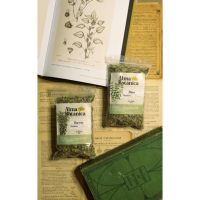 Los Caminos del Té, experiencias únicas a través de los sentidos.