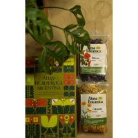 Los Caminos del Té, experiencias únicas a través de los sentidos.