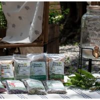Los Caminos del Té, experiencias únicas a través de los sentidos.