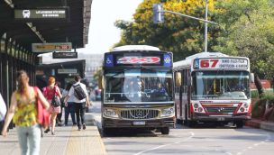 31_08_2024_colectivo_subsidio_cedoc_g