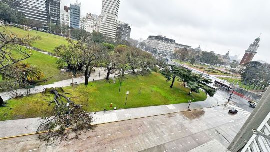 Santa Rosa: vientos de hasta 70 km/h y árboles caídos en el AMBA