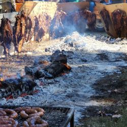 63 embarcaciones completamente ocupadas por mujeres en un evento que tiene la intención de seguir impulsando la pesca femenina en Santa Fe. 