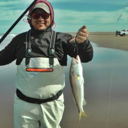 Sin el chucho en competencia, especie que no era válida, todo se centró en rayas pedreras y peces gallo o elefante de buen porte. (Fotos: Omar Calafate)
