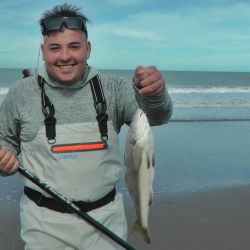 Sin el chucho en competencia, especie que no era válida, todo se centró en rayas pedreras y peces gallo o elefante de buen porte. (Fotos: Omar Calafate)