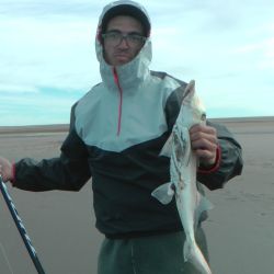 Sin el chucho en competencia, especie que no era válida, todo se centró en rayas pedreras y peces gallo o elefante de buen porte. (Fotos: Omar Calafate)