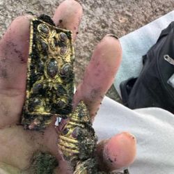 Varias de las joyas y armas desenterradas están decoradas con piedras semipreciosas. 