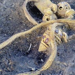 También encontraron un collar de oro decorado con piedras semipreciosas. 