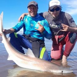 El proyecto, que se extiende desde el Faro Querandí (Buenos Aires) hasta Puerto San Julián (Santa Cruz), mostró por primera vez, luego de 4 temporadas consecutivas, una merma en el marcado.