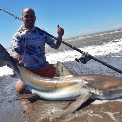 El proyecto, que se extiende desde el Faro Querandí (Buenos Aires) hasta Puerto San Julián (Santa Cruz), mostró por primera vez, luego de 4 temporadas consecutivas, una merma en el marcado.