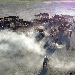 Vista aérea tomada con un dron de una manada de caballos salvajes en el Parque Nacional Sultan Reedy, en Kayseri, Turquía. | Foto:Xinhua/Mustafa Kaya
