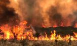 El fuego ya arrasó con más de 7.000 hectáreas en Córdoba