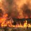 Firefighters battle flames in Córdoba, 7,000 hectares affected