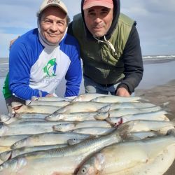 En muchas ocasiones, el pique de esta especie se da muy cerca de la orilla. La pesca se extenderá todo septiembre y octubre, dependiendo del clima y, para tener éxito, de saber leer el mar.