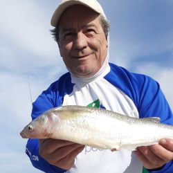En muchas ocasiones, el pique de esta especie se da muy cerca de la orilla. La pesca se extenderá todo septiembre y octubre, dependiendo del clima y, para tener éxito, de saber leer el mar.