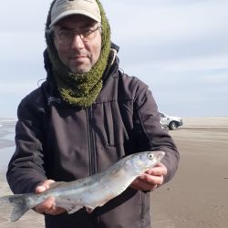 En muchas ocasiones, el pique de esta especie se da muy cerca de la orilla. La pesca se extenderá todo septiembre y octubre, dependiendo del clima y, para tener éxito, de saber leer el mar.