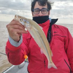 Los mejores resultados se dan con líneas de dos boyas más bigotera larga o la variante de tres, con bajadas de 15 a 25 cm.