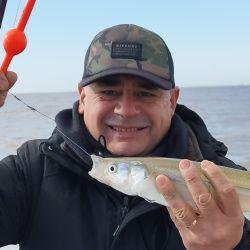 Los mejores resultados se dan con líneas de dos boyas más bigotera larga o la variante de tres, con bajadas de 15 a 25 cm.