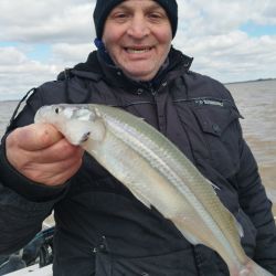 Los mejores resultados se dan con líneas de dos boyas más bigotera larga o la variante de tres, con bajadas de 15 a 25 cm.