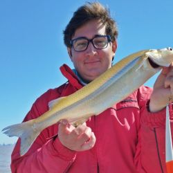 Los mejores resultados se dan con líneas de dos boyas más bigotera larga o la variante de tres, con bajadas de 15 a 25 cm.