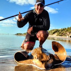Habitan casi toda la Costa Atlántica y están comprendidos dentro de la familia Rapidae que les da indistintamente los nombres vulgares de chucho o raya.