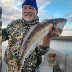 Dos especies que están picando bien en la ría embarcados, pero podemos dar con ellas desde la costa, siendo una alternativa más que recomendada para una próxima pesca en este destino. 