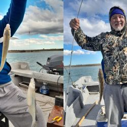Dos especies que están picando bien en la ría embarcados, pero podemos dar con ellas desde la costa, siendo una alternativa más que recomendada para una próxima pesca en este destino. 
