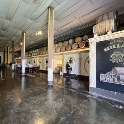 Olivícola Laur, la más premiada de Mendoza.