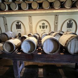 Olivícola Laur, la más premiada de Mendoza.