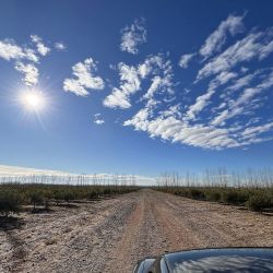 Praderas Neuquinas, visita a sus instalaciones en Centenario, Neuquén.