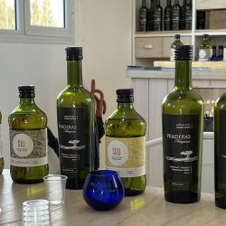 Praderas Neuquinas, visita a sus instalaciones en Centenario, Neuquén.