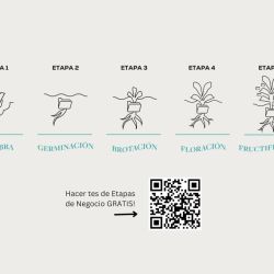 Emprendimientos personalizados: La Bioindividualidad como estrategia  | Foto:CEDOC