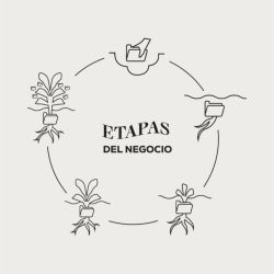 Emprendimientos personalizados: La Bioindividualidad como estrategia  | Foto:CEDOC