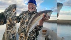 Dos especies que están picando bien en la ría embarcados, pero podemos dar con ellas desde la costa, siendo una alternativa más que recomendada para una próxima pesca en este destino.