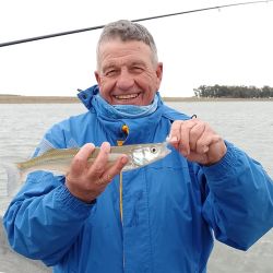 Tanto en lagunas como ríos, canales y arroyos, la medida mínima para la pesca del pejerrey es de 25 cm. 