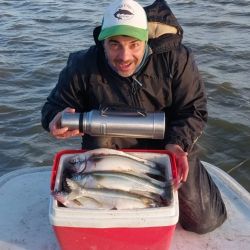 Tanto en lagunas como ríos, canales y arroyos, la medida mínima para la pesca del pejerrey es de 25 cm.