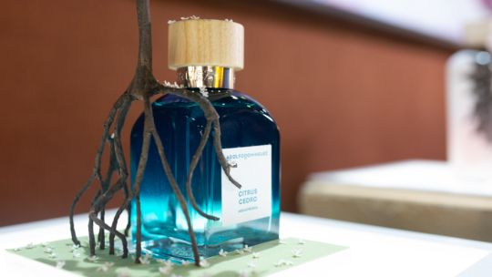 Así fue el “Jardín Sensorial” de Adolfo Domínguez en BADA