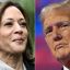Kamala Harris, Donald Trump gear up for crunch US presidential debate