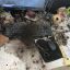 Shock as letter bomb sent to offices of Sociedad Rural Argentina