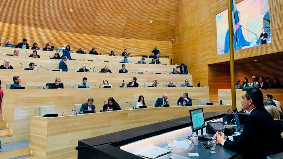 Facundo Torres frente a la embestida opositora