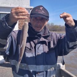 El clima no acompañó el fin de semana, pero, aún así, se registraron buenas faenas en los distintos pesqueros del país.