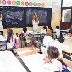Docentes