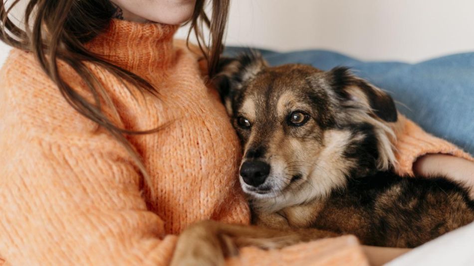 ¿Por qué propiciamos desde nuestro espacio la empatía con los perros?