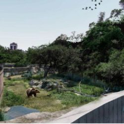 Los tres osos pardos tendrán un nuevo lugar donde vivir de manera más confortable.