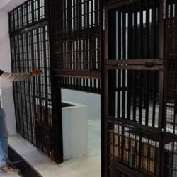 Los refugios para los tres osos pardos ya están en la etapa final de construcción.