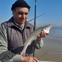 El buen clima contribuyó para que el pasado fin de semana fuera uno de los más rendidores para el pescador en el país. 