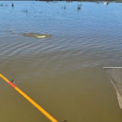 El buen clima contribuyó para que el pasado fin de semana fuera uno de los más rendidores para el pescador en el país. 