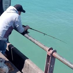El buen clima contribuyó para que el pasado fin de semana fuera uno de los más rendidores para el pescador en el país. 